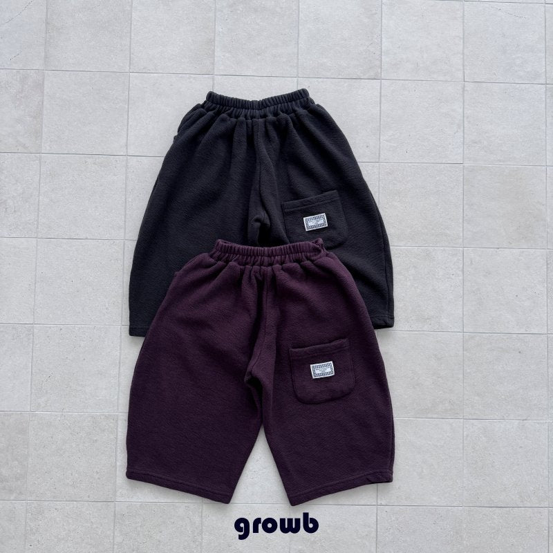 【予約】Mont Blanc pants / growb (XS-JM)