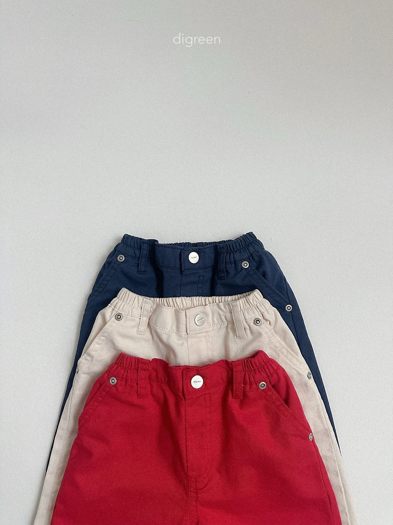【予約】beatles pants / digreen (S-XXL)