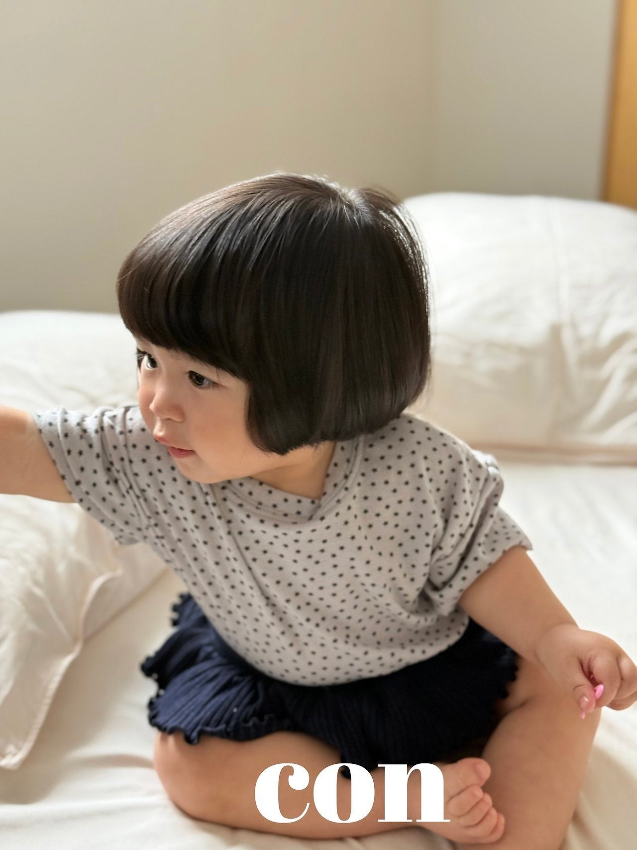 【予約】small star T / con