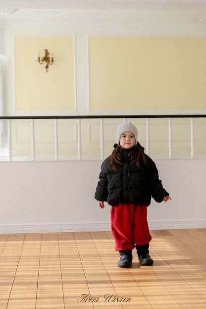 【予約】down padding jacket  / apfel (S-2XL)