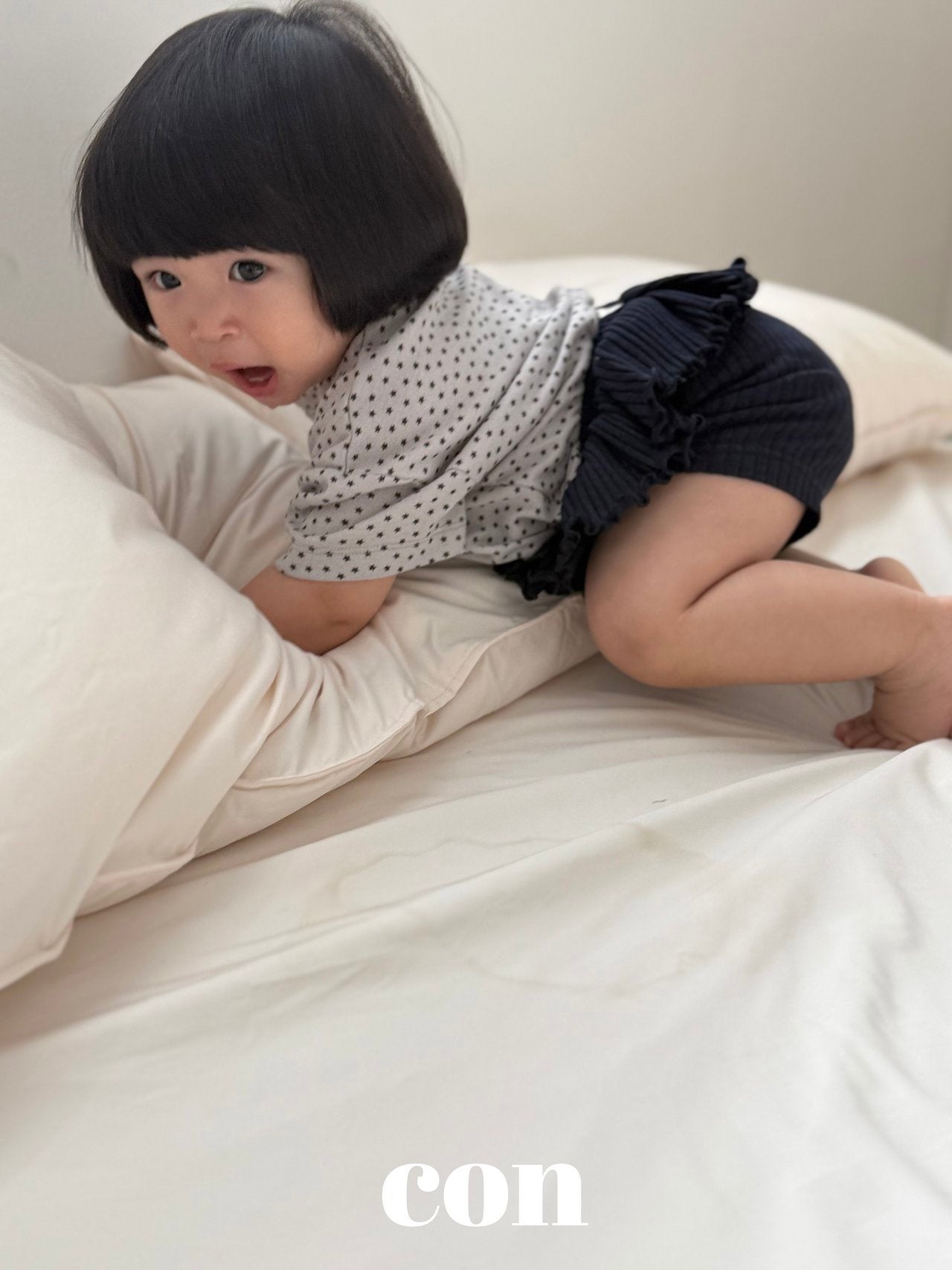 【予約】small star T / con