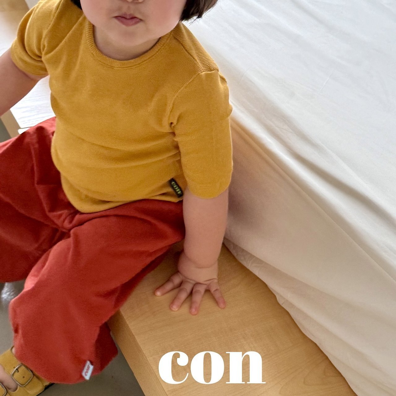 【予約】vest of T / con