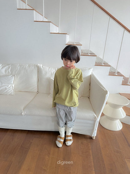 【予約】Wormer Socks   /  digreen