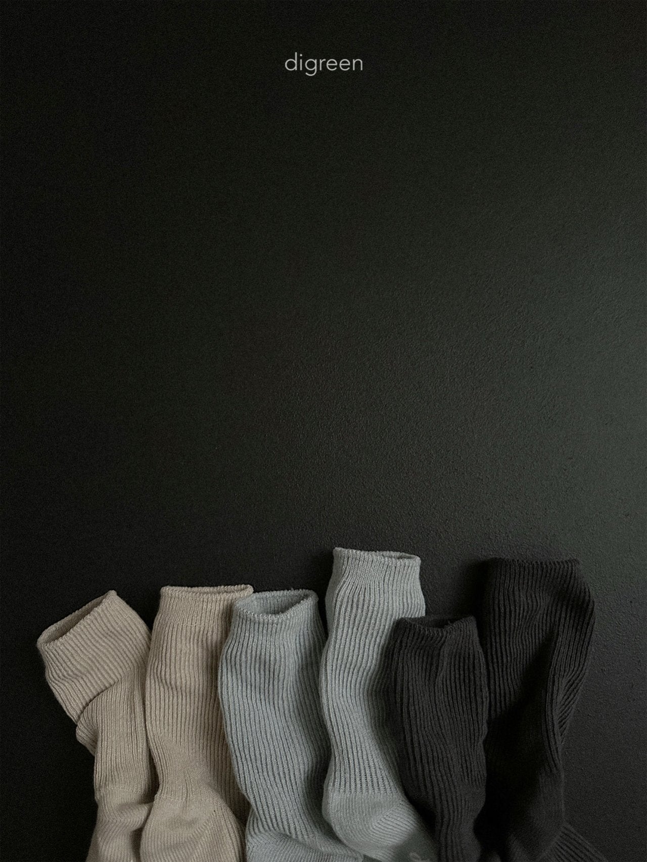 【予約】Gray Socks  /  digreen