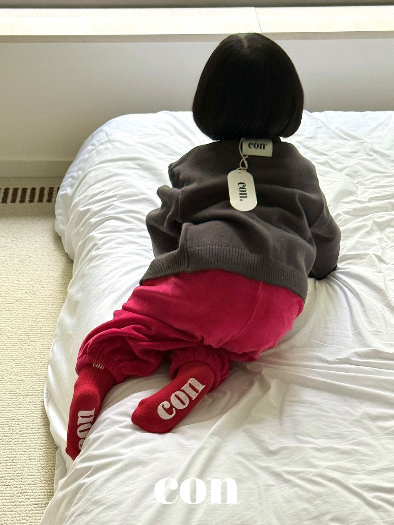 【予約】velor holic pants  /  con