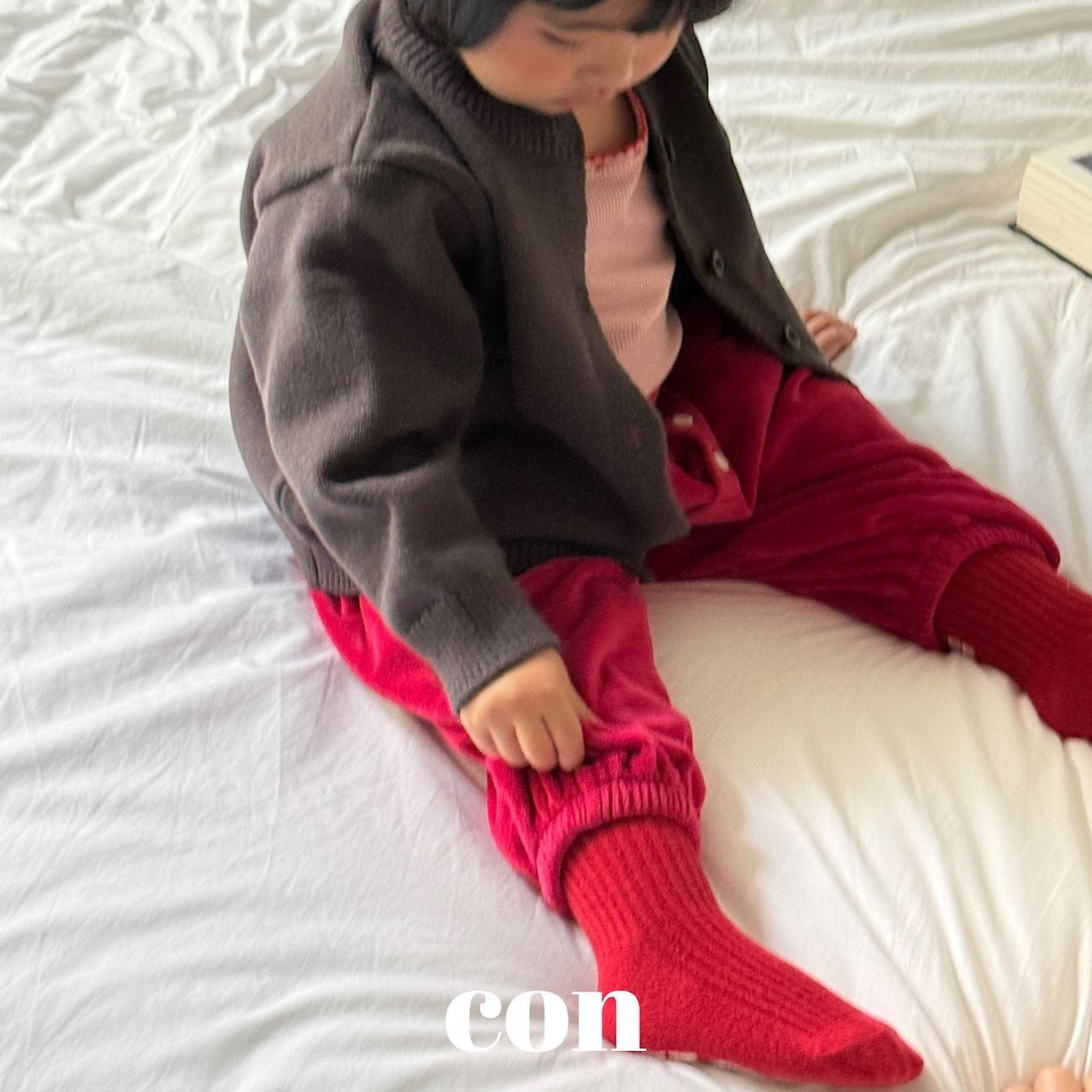 【予約】velor holic pants  /  con