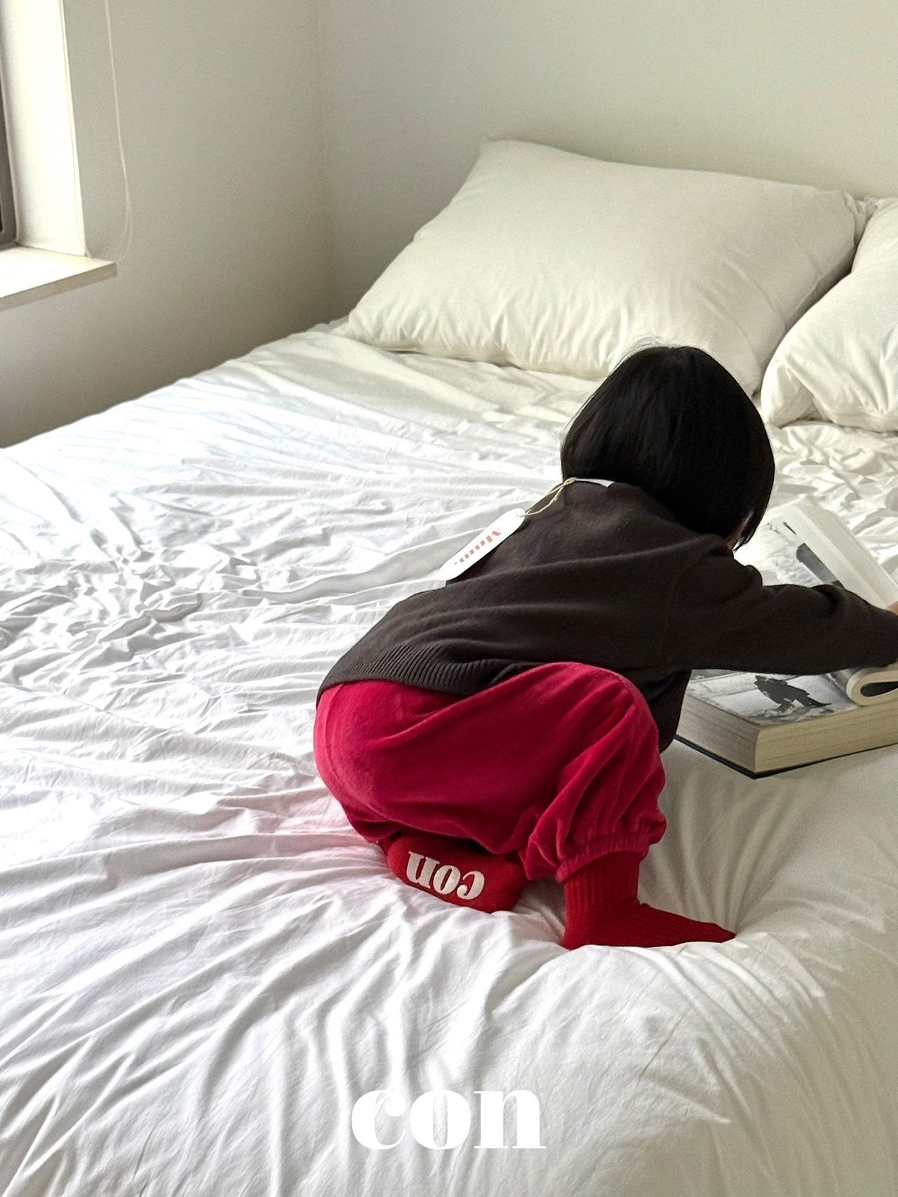 【予約】velor holic pants  /  con