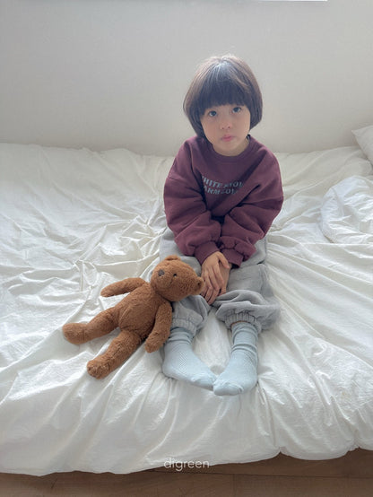 【予約】Gray Socks  /  digreen