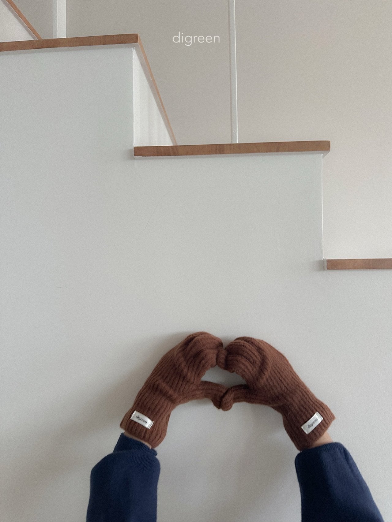 【予約】wool Winnie Glove  /  digreen