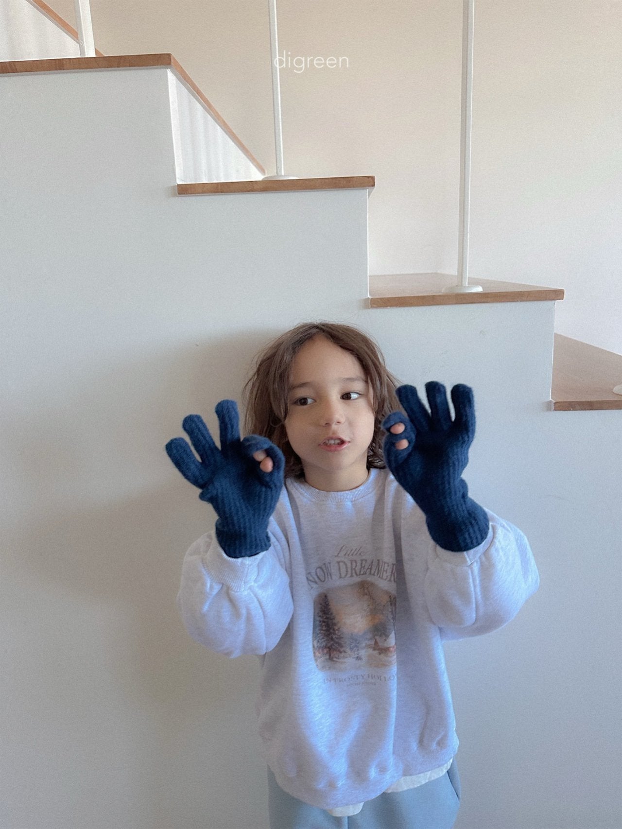 【予約】wool Winnie Glove  /  digreen