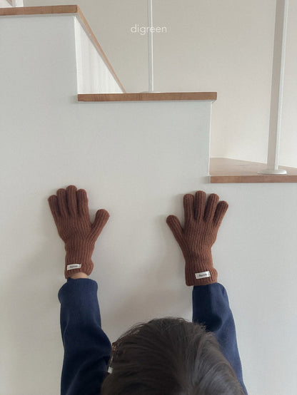 【予約】wool Winnie Glove  /  digreen