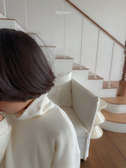 【予約】Teddy Turtleneck  /  digreen(S-XXL)