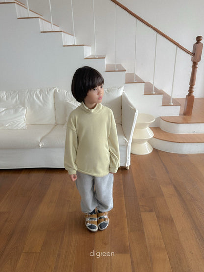 【予約】Teddy Turtleneck  /  digreen(S-XXL)