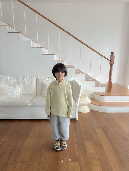 【予約】Teddy Turtleneck  /  digreen(S-XXL)