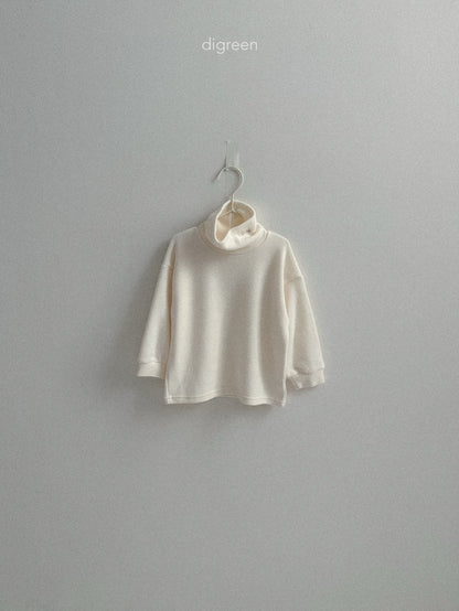【予約】Teddy Turtleneck  /  digreen(S-XXL)