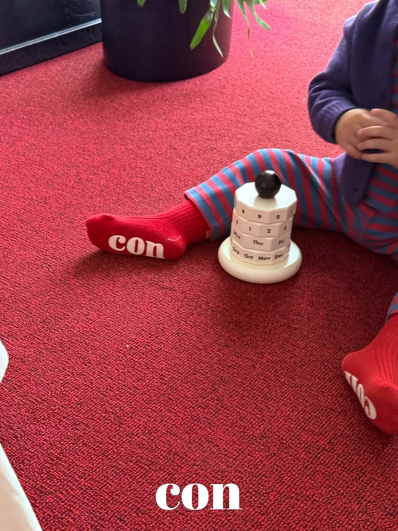 【予約】con socks /  con