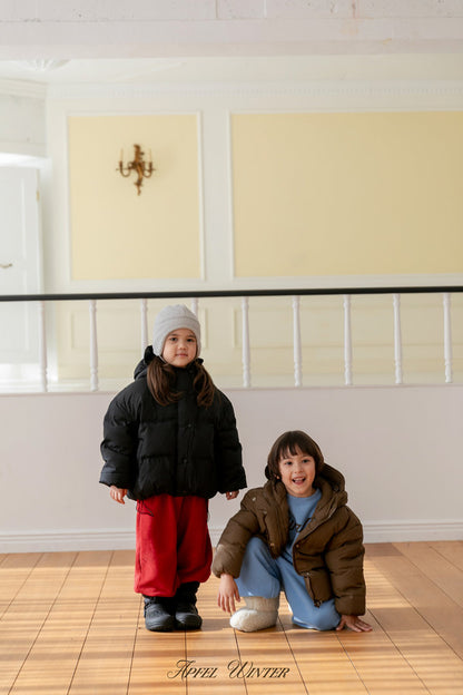 【予約】down padding jacket  / apfel (S-2XL)