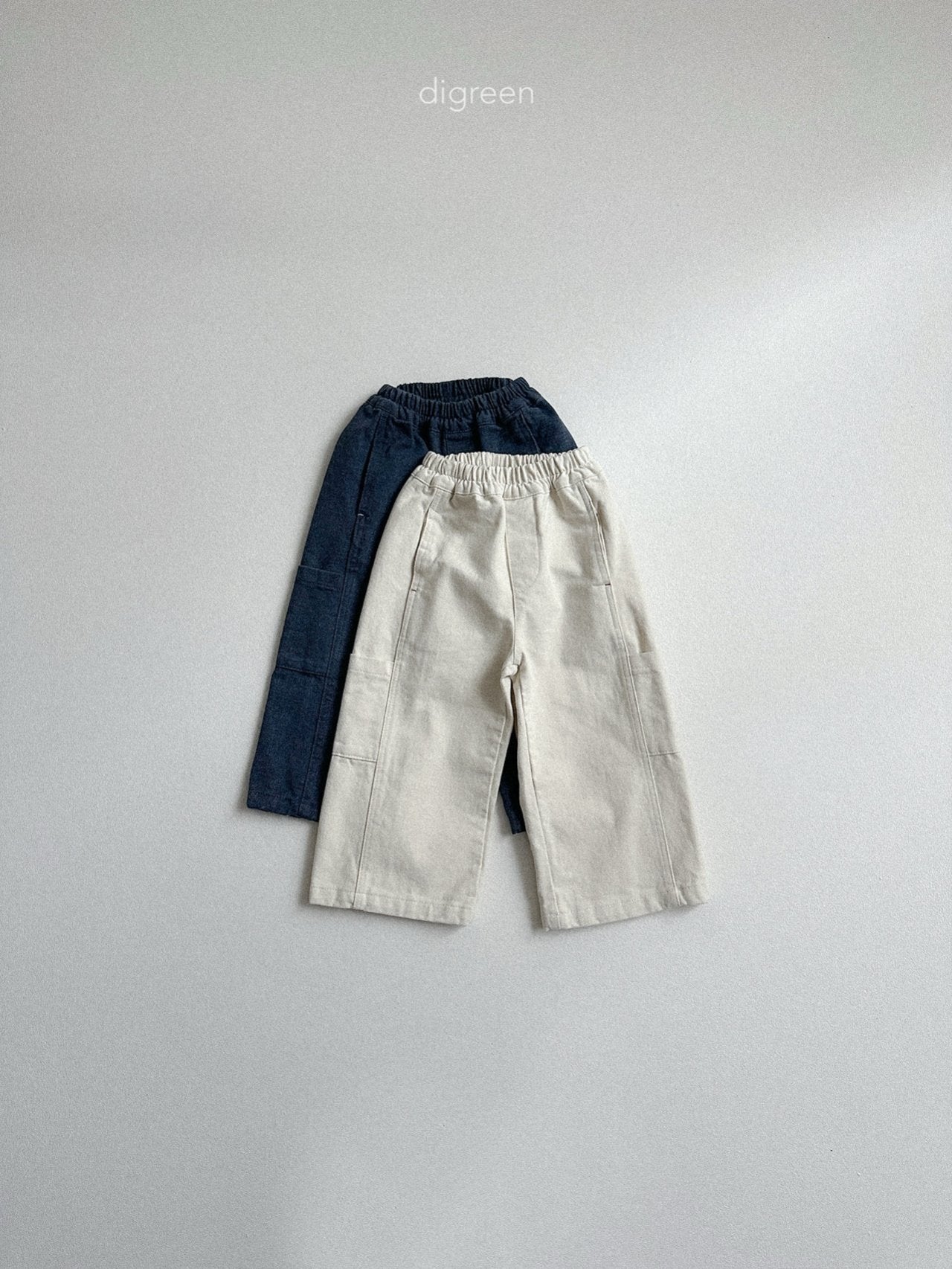 【予約】Flat Wide Pants  /  digreen(S-XXL)