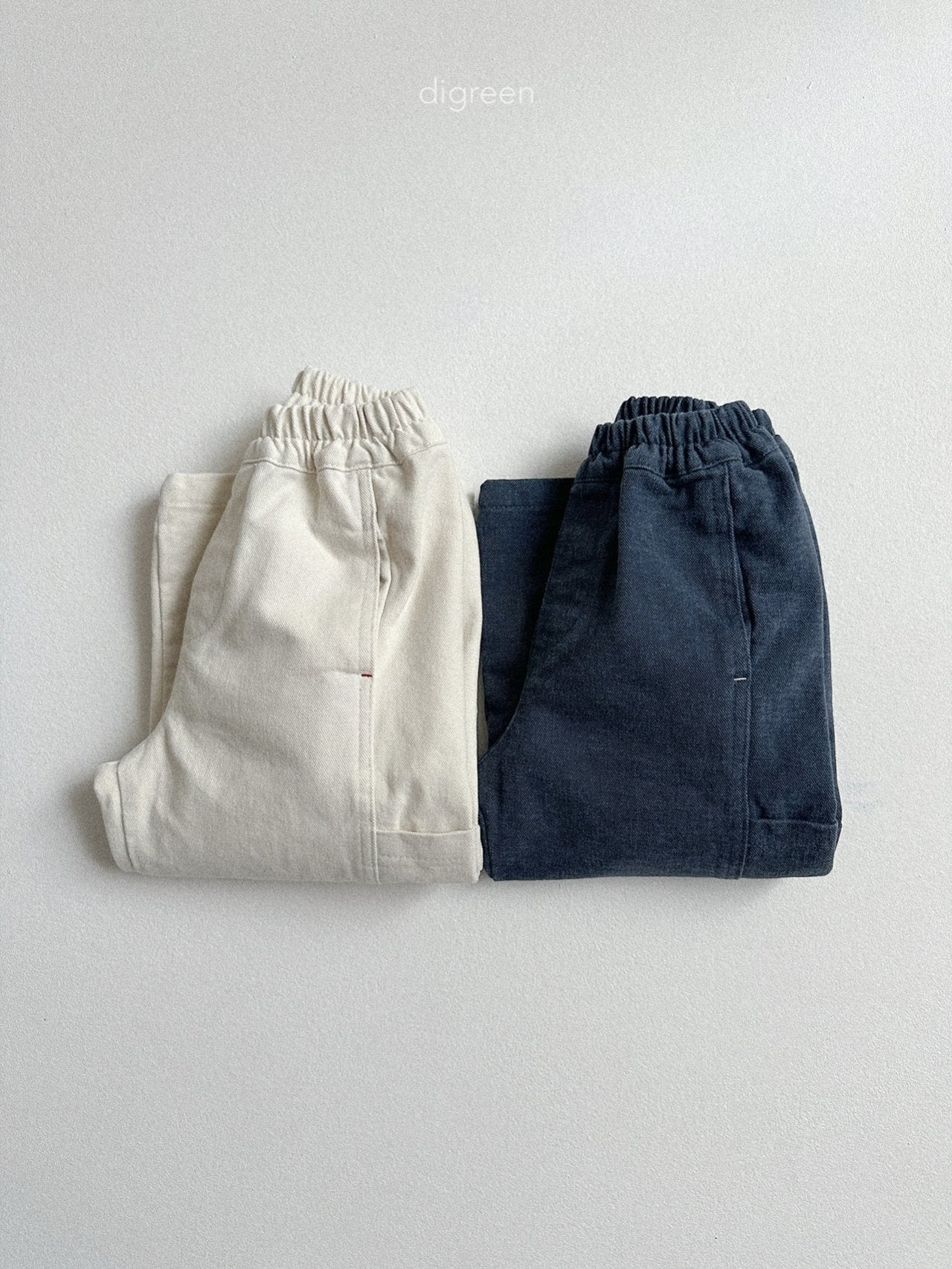 【予約】Flat Wide Pants  /  digreen(S-XXL)