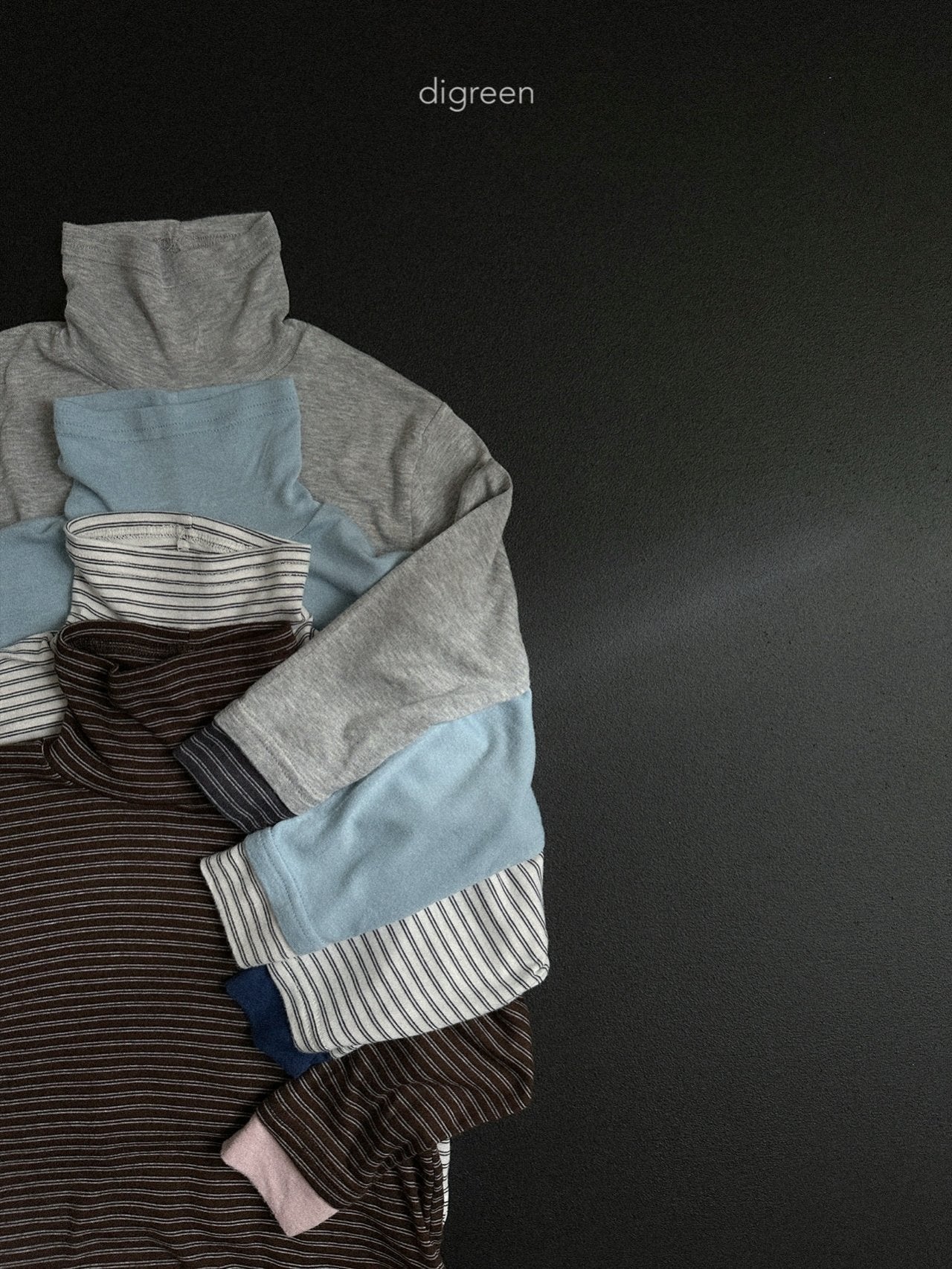 【予約】Layer Turtle neck  /  digreen(S-XXL)
