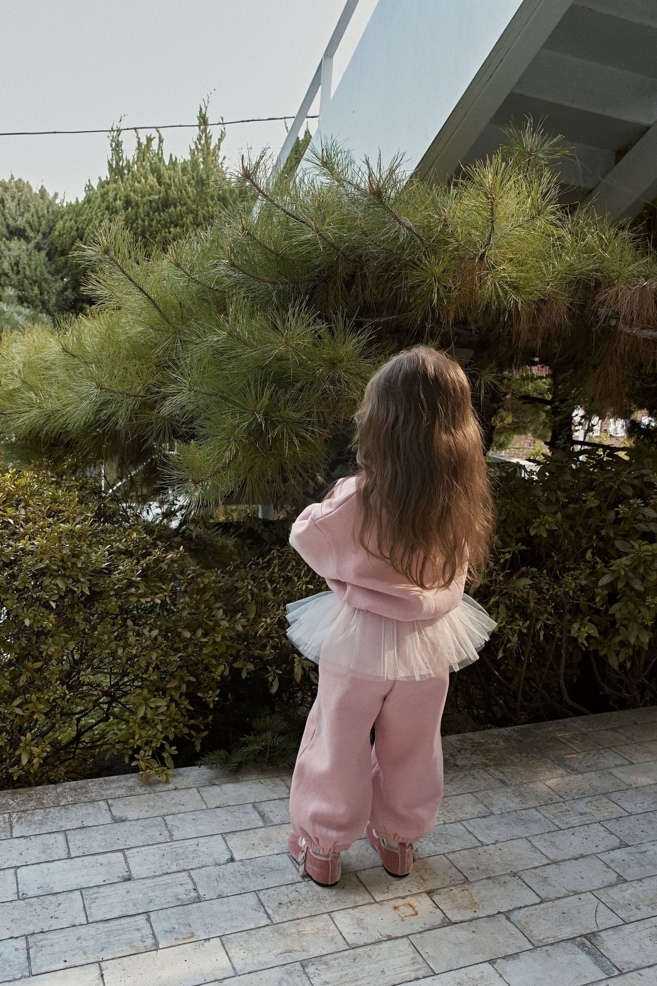 【予約】tutu set up  /  momoann (5-13号)