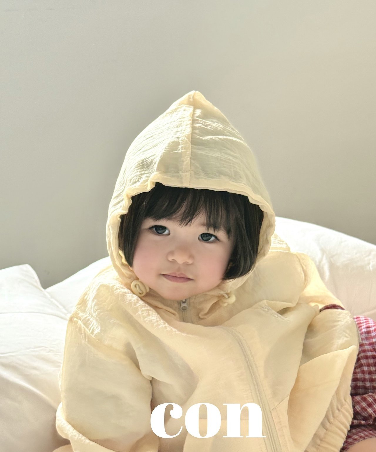 【予約】wind jumper / con