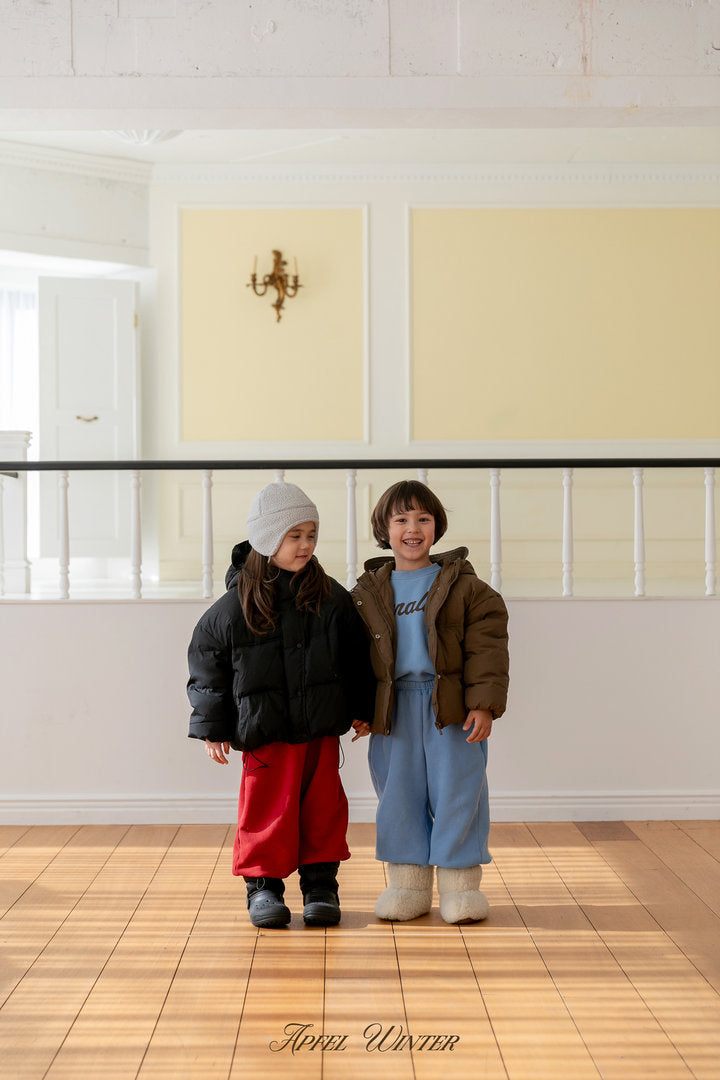 【予約】down padding jacket  / apfel (S-2XL)