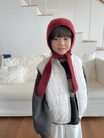 【予約】Momo Hood /  digreen