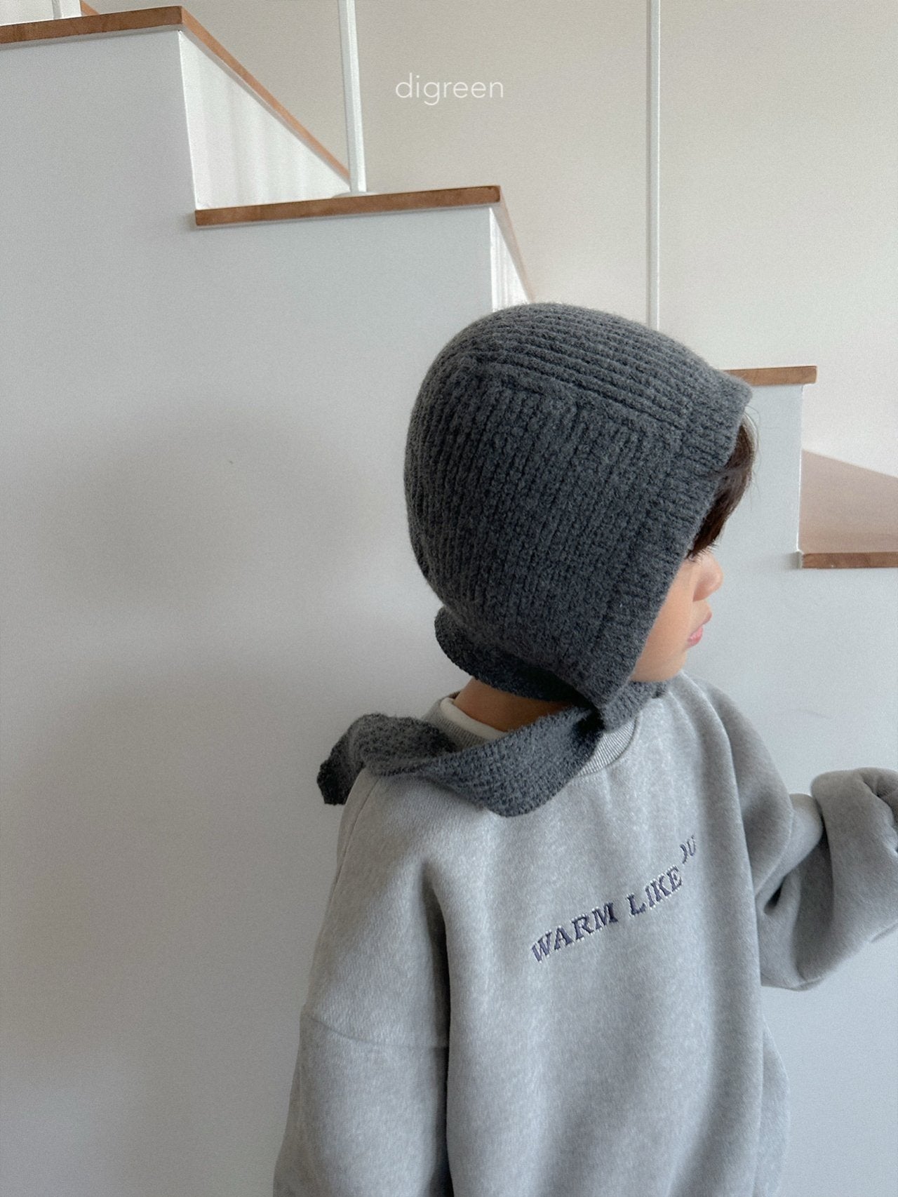 【予約】Momo Hood /  digreen