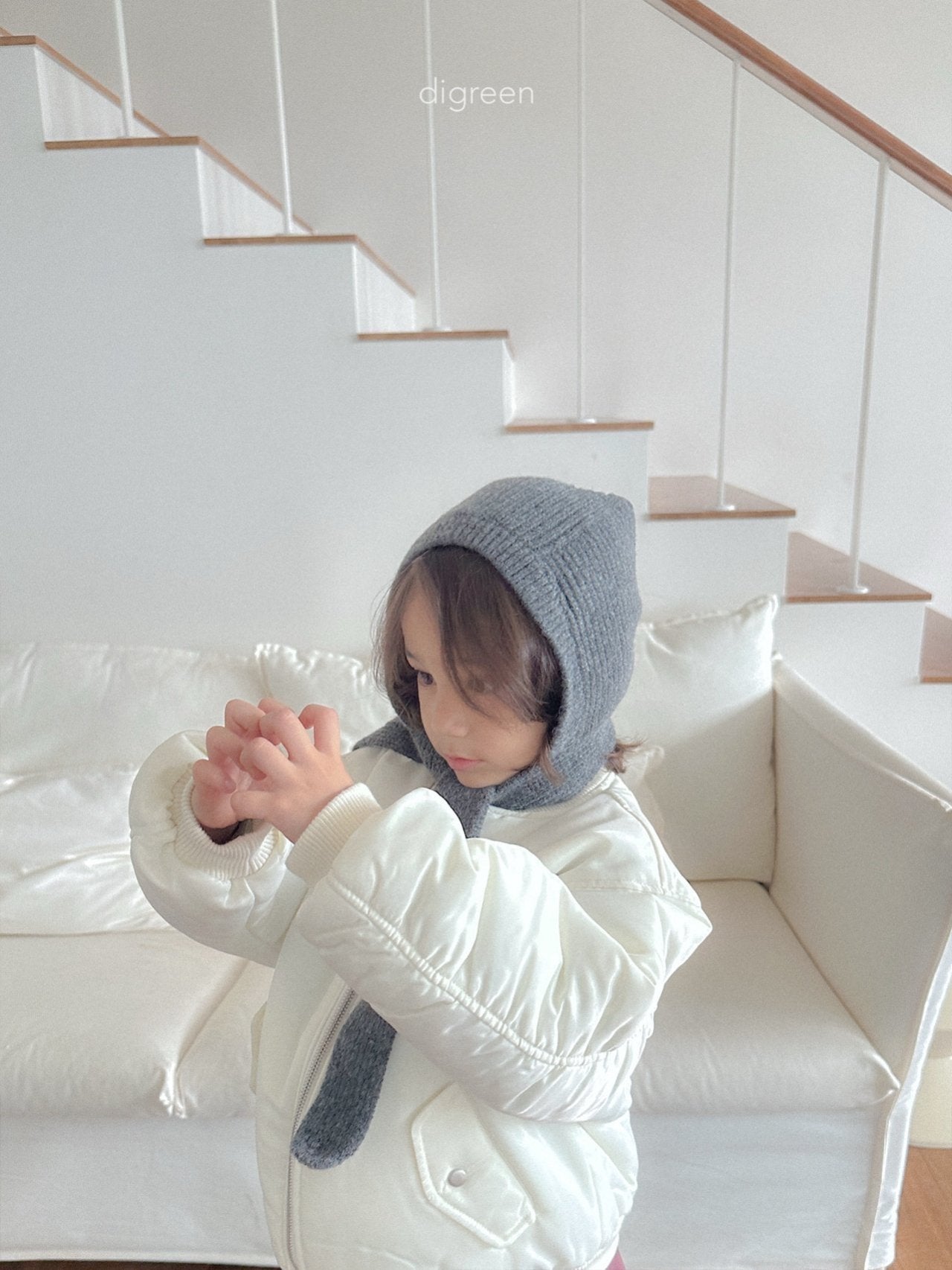 【予約】Momo Hood /  digreen