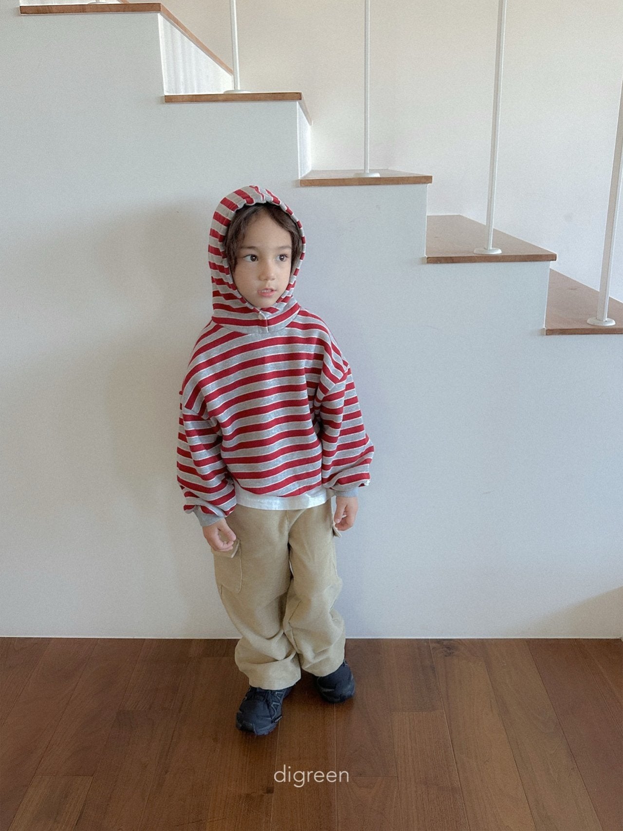 【予約】Snap Hoodie  /  digreen(S-XXL)