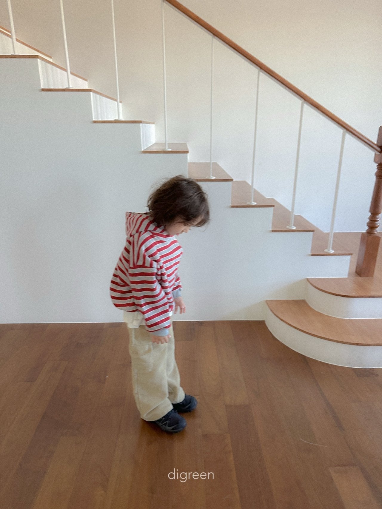 【予約】Snap Hoodie  /  digreen(S-XXL)