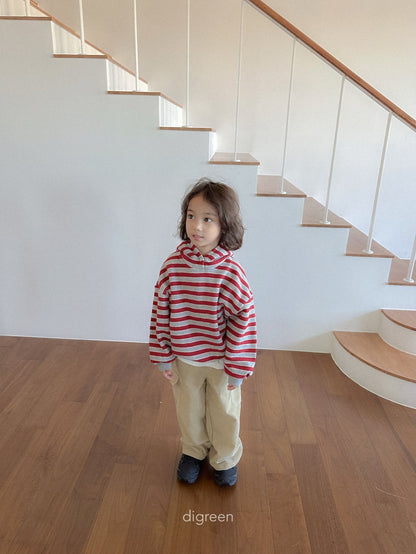 【予約】Snap Hoodie  /  digreen(S-XXL)