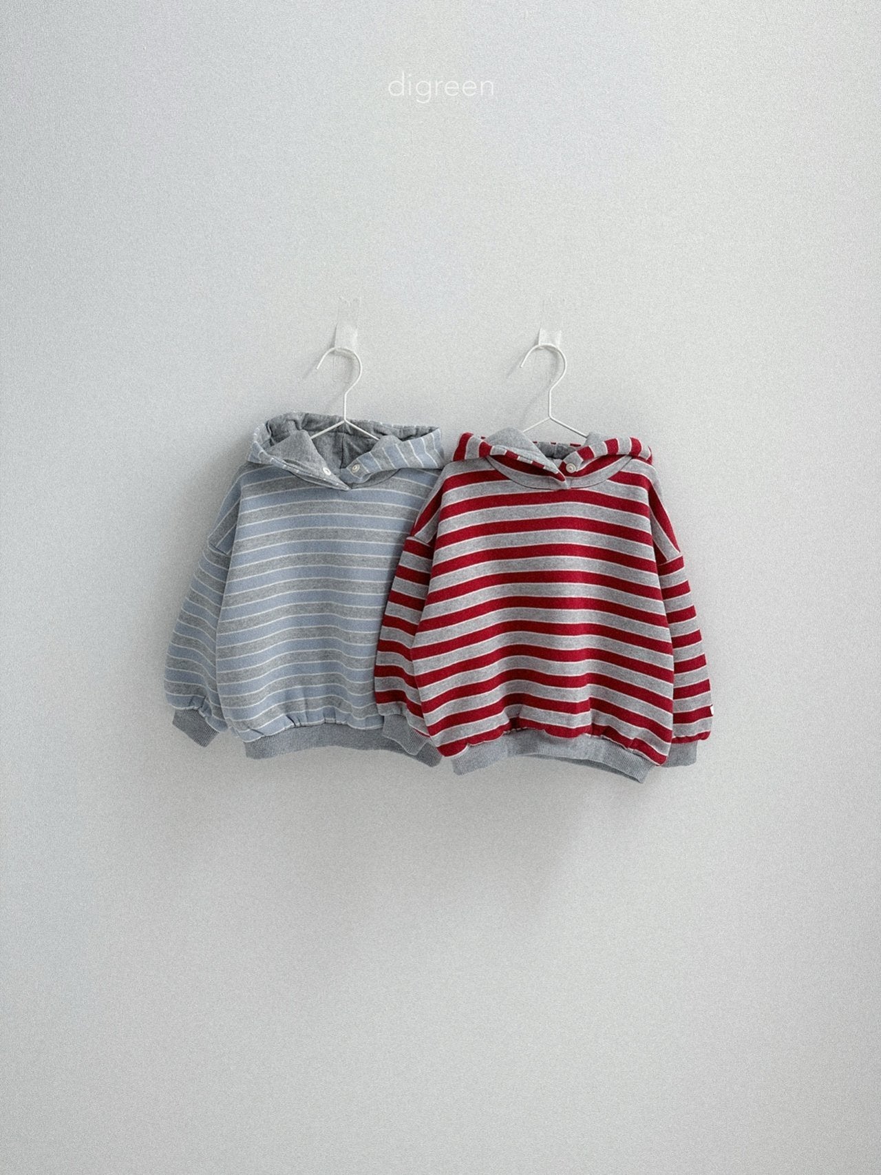 【予約】Snap Hoodie  /  digreen(S-XXL)