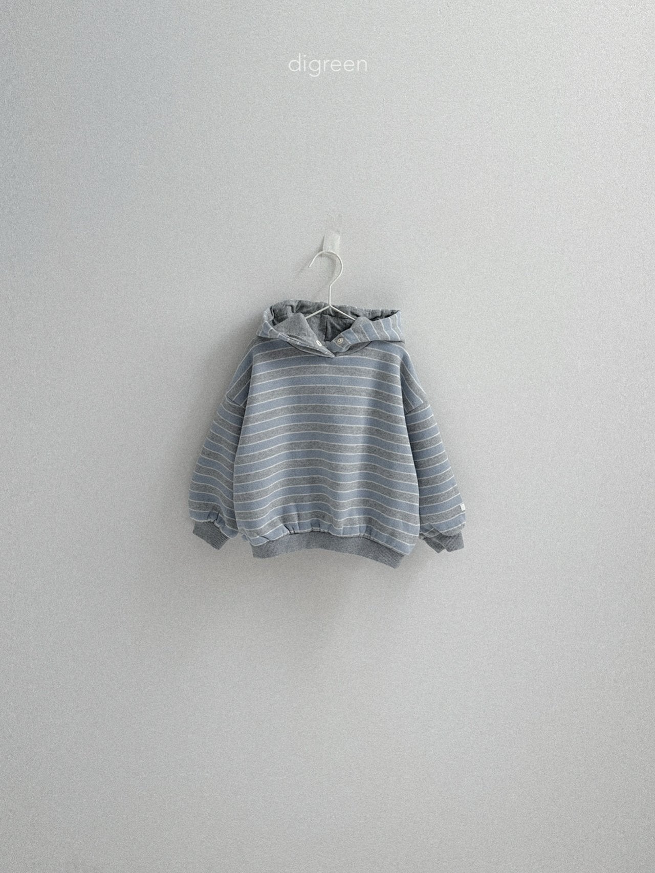 【予約】Snap Hoodie  /  digreen(S-XXL)