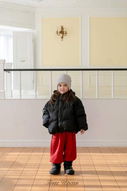 【予約】down padding jacket  / apfel (S-2XL)