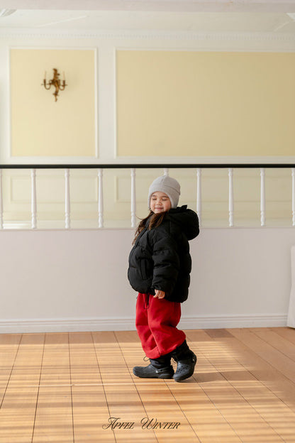 【予約】down padding jacket  / apfel (S-2XL)