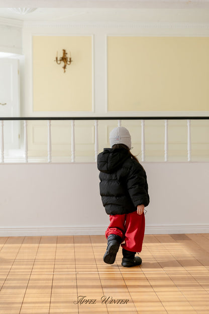 【予約】down padding jacket  / apfel (S-2XL)