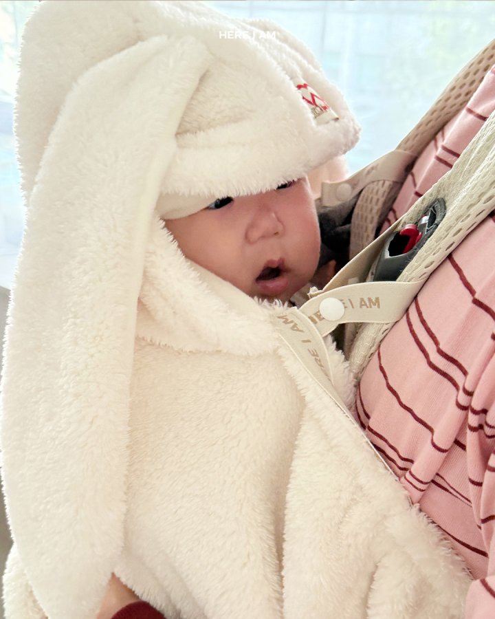 【予約】kinder baby carrier warmer / here i am 14