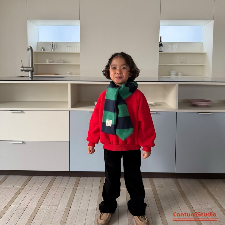 【予約】Halley Potter muffler  / cantucci studio (XS-XL)