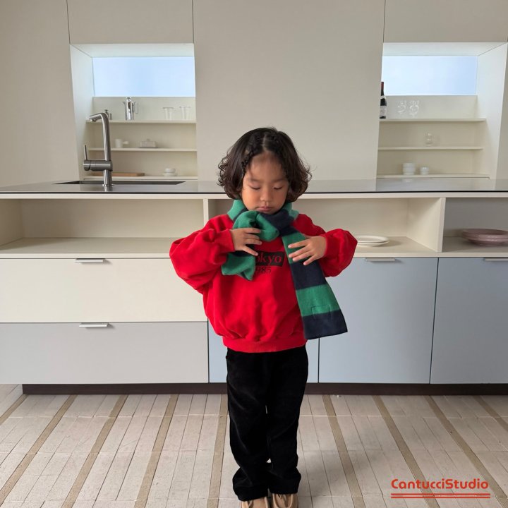 【予約】Halley Potter muffler  / cantucci studio (XS-XL)