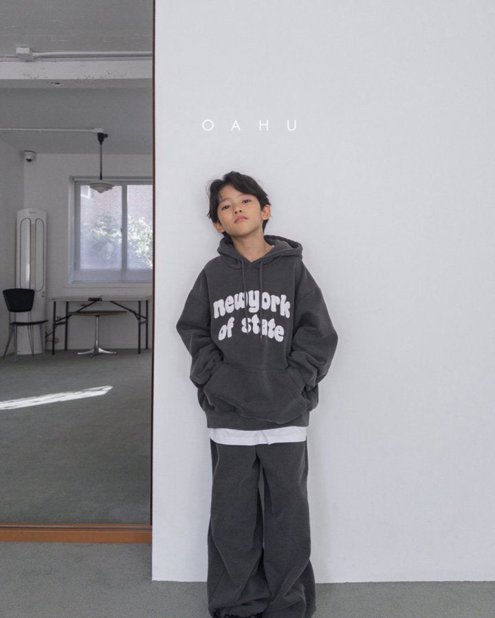 【予約】New York dyne hoodie / oahu (S-JXL)