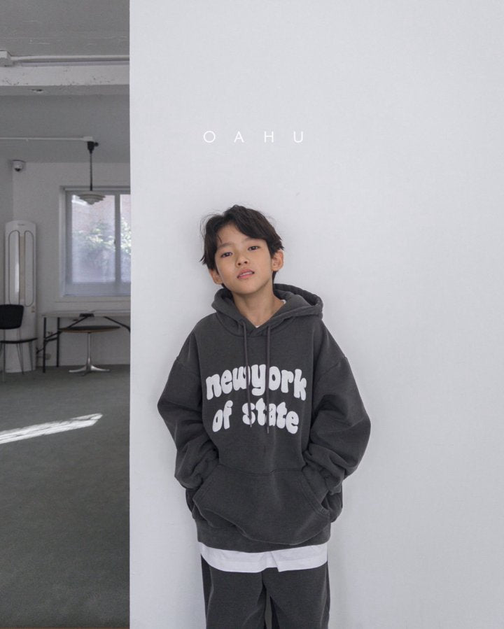 【予約】New York dyne hoodie / oahu (S-JXL)