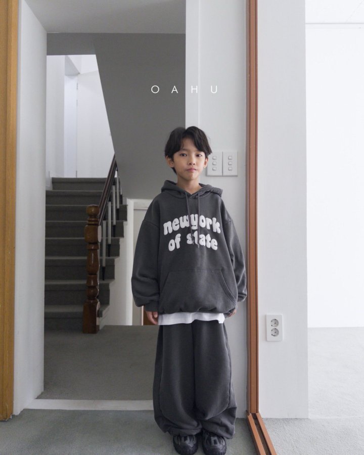 【予約】New York dyne hoodie / oahu (S-JXL)