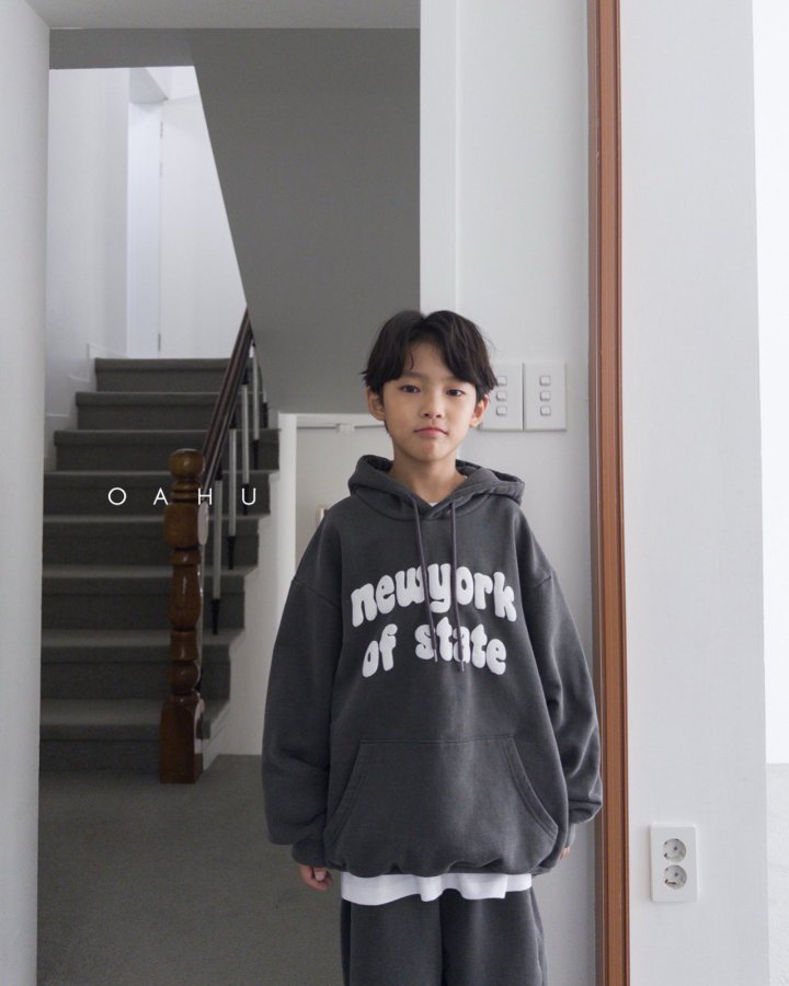 【予約】New York dyne hoodie / oahu (S-JXL)