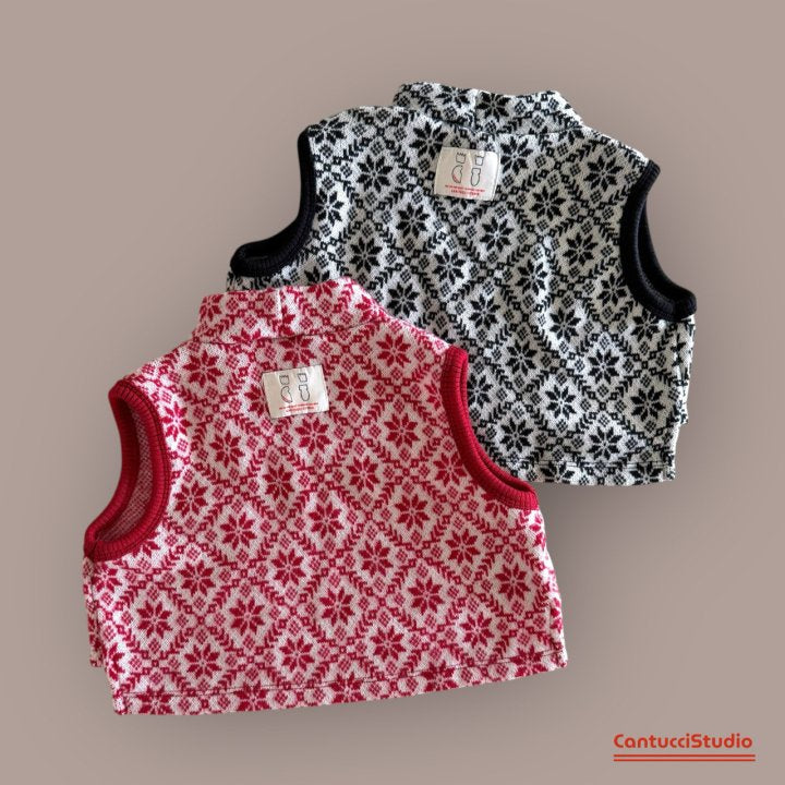 【予約】snow peak top  / cantucci studio (XS-XL)