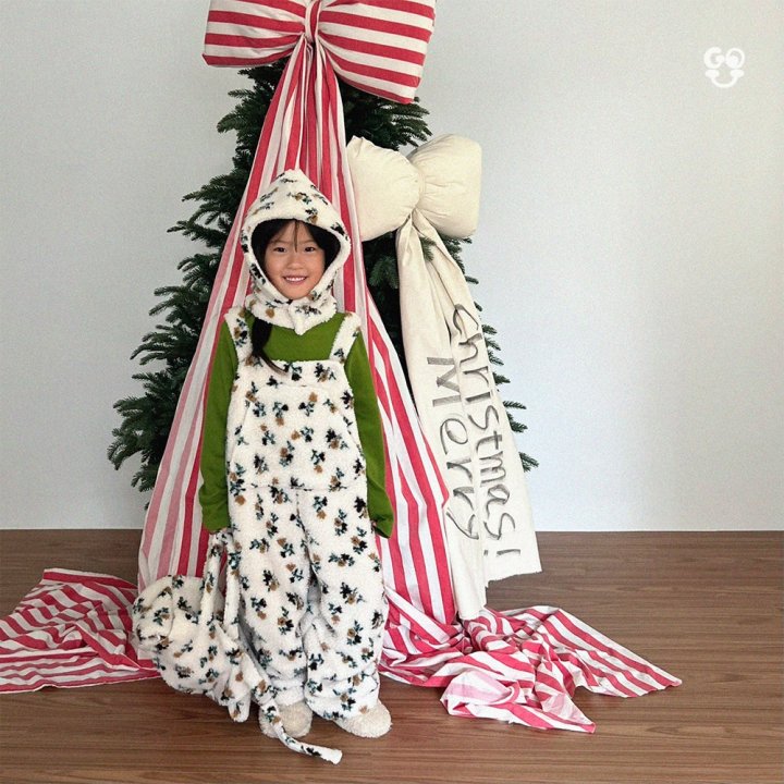 【予約】snow peak hat /  gou