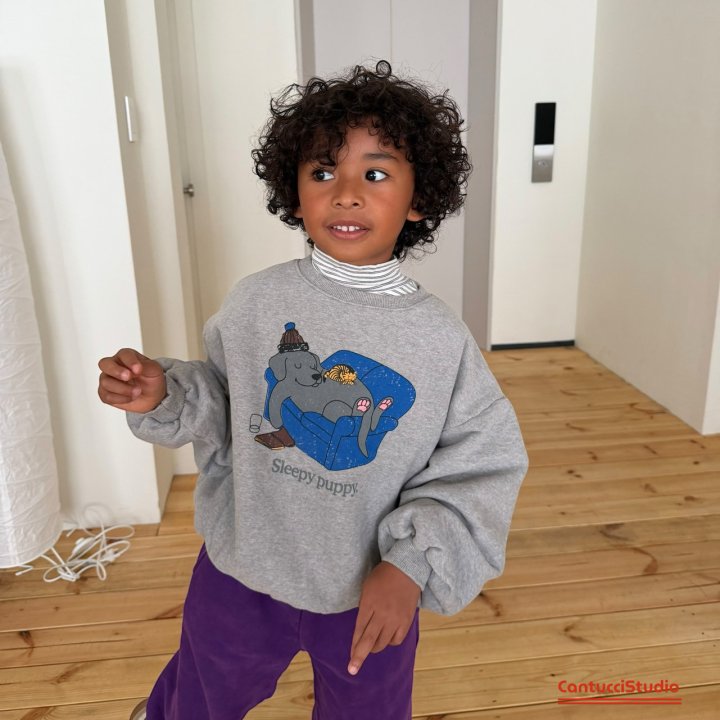 【予約】sleep puppy mtm  / cantucci studio (XS-XL, Adult)  쇼파