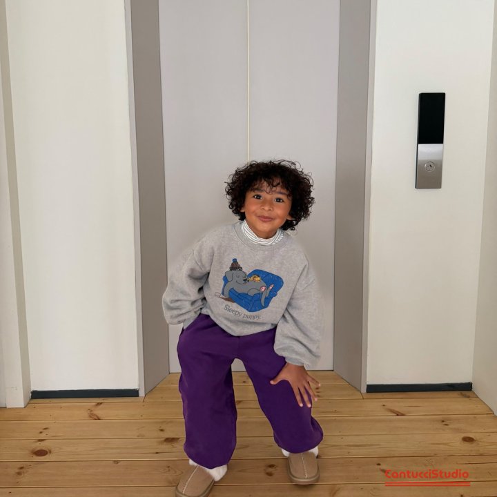 【予約】sleep puppy mtm  / cantucci studio (XS-XL, Adult)  쇼파