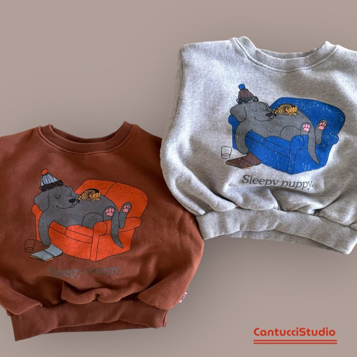 【予約】sleep puppy mtm  / cantucci studio (XS-XL, Adult)  쇼파